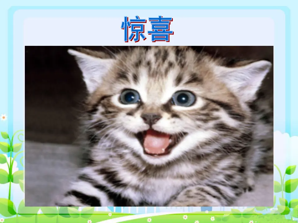 动物表情（课件2）_05.webp