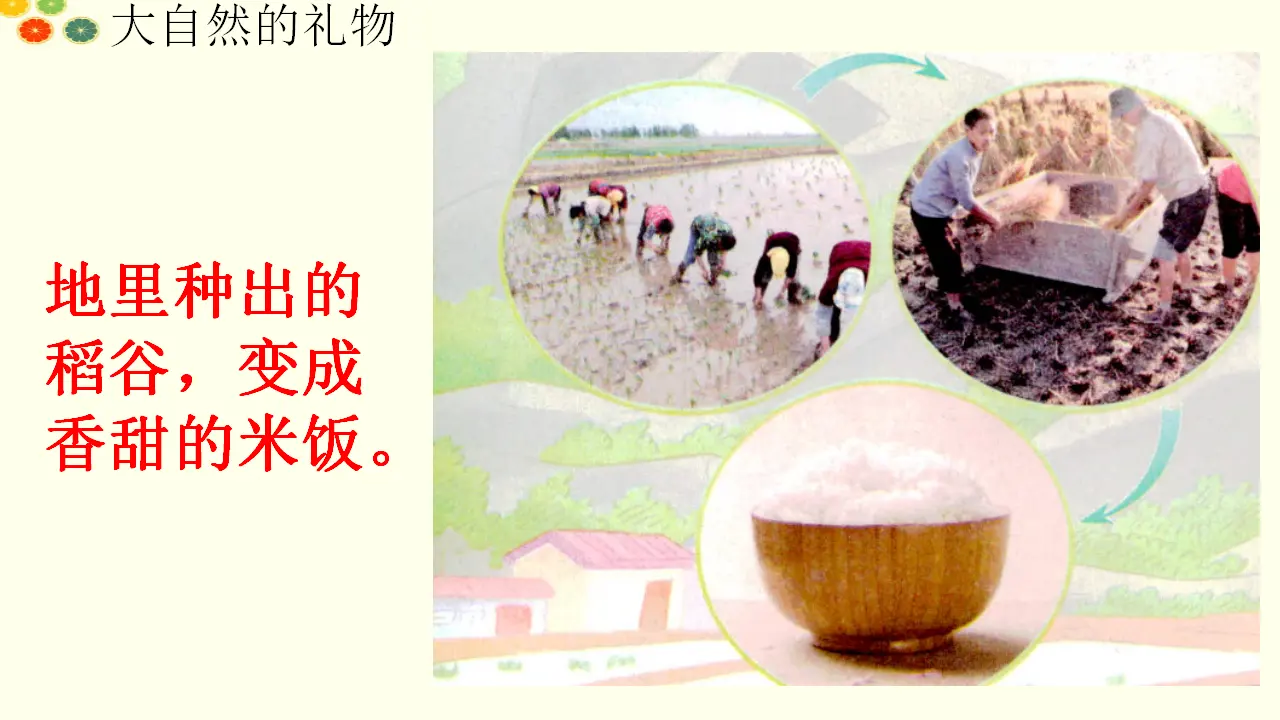 《8 大自然，谢谢您》【谢老师】【省级】优质课（课件4）_03.webp