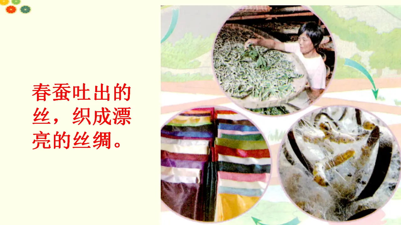 《8 大自然，谢谢您》【谢老师】【省级】优质课（课件4）_04.webp