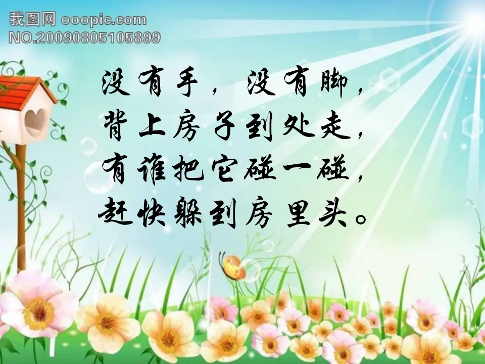 《7 可爱的动物》【芦老师】【省级】优质课（课件4）_05.webp