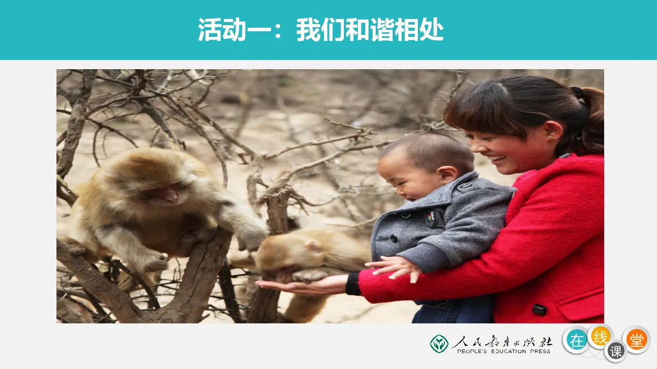 《7 可爱的动物》【程老师】【省级】优质课（课件4）_03.webp
