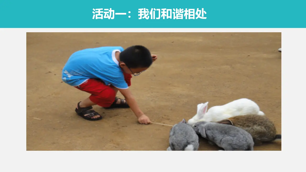 《7 可爱的动物》【程老师】【省级】优质课（课件4）_05.webp