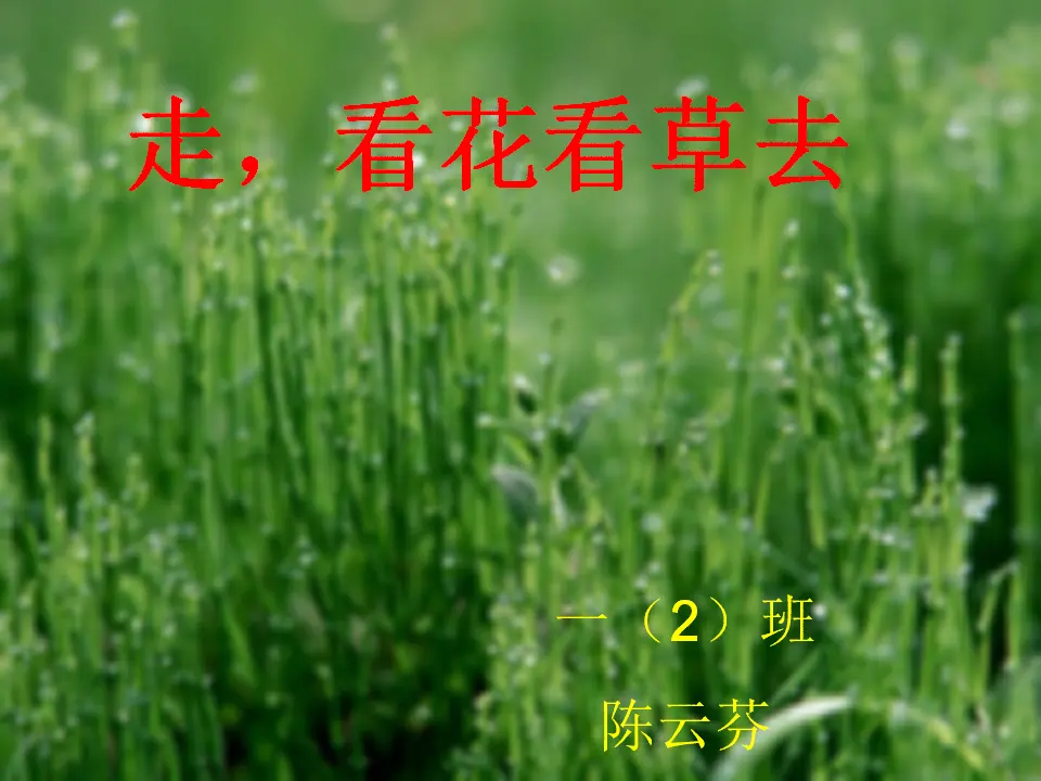 《6 花儿草儿真美丽》【陈老师】【省级】优质课（课件4）_01.webp