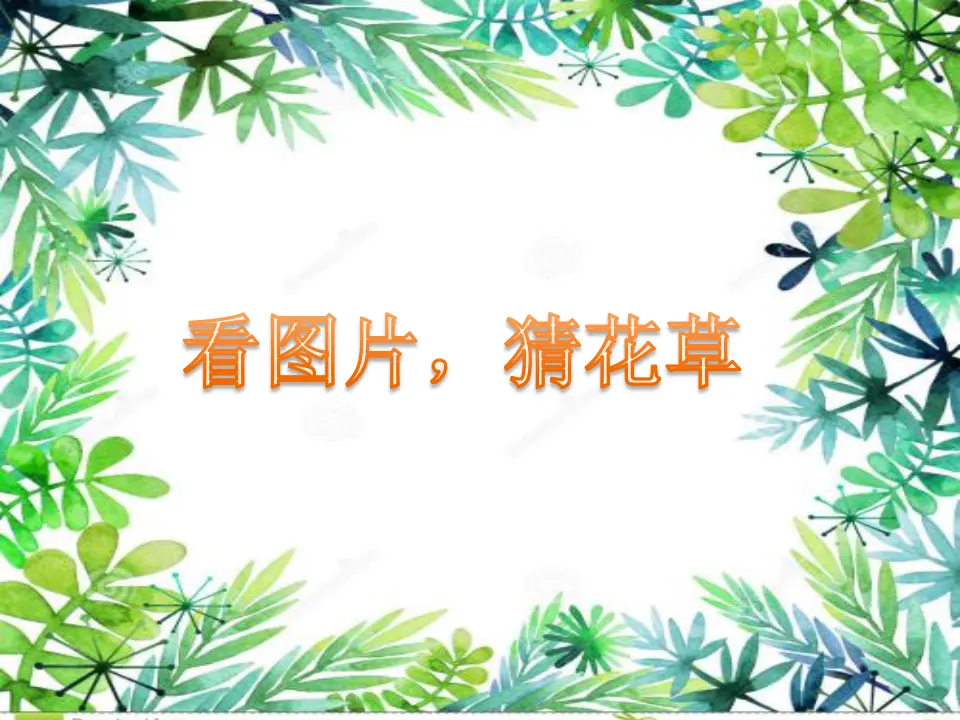 《6 花儿草儿真美丽》【赵老师】【省级】优质课（课件4）_01.webp