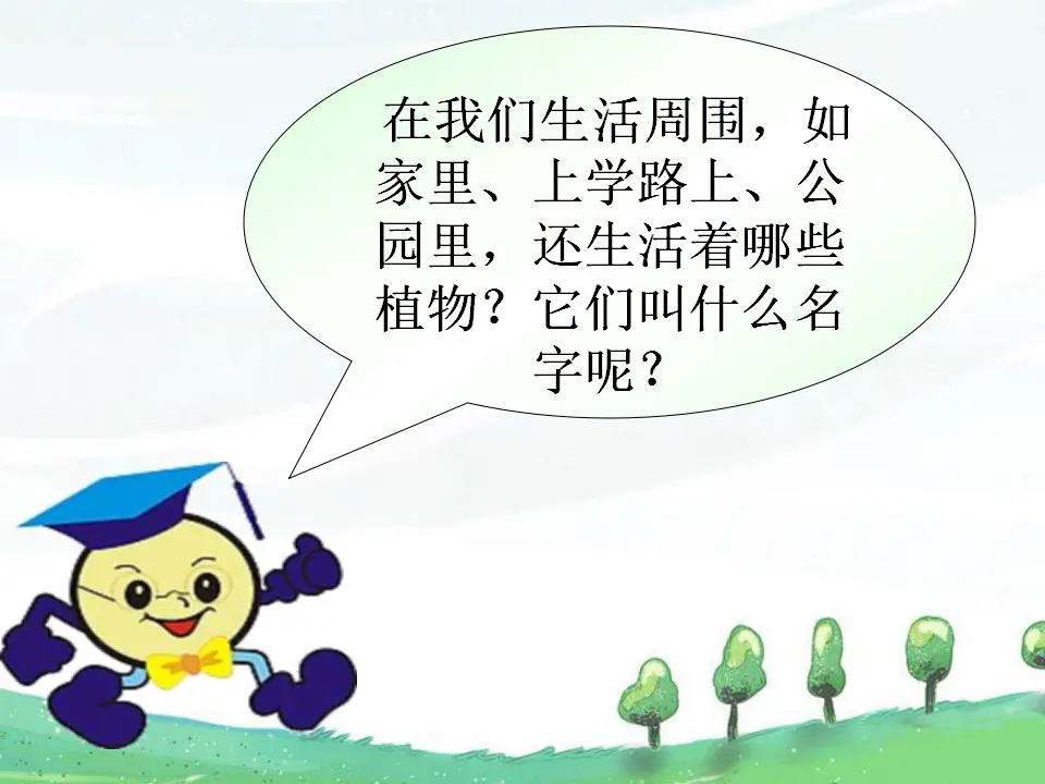 《6 花儿草儿真美丽》【纪老师】【省级】优质课（课件4）_04.webp