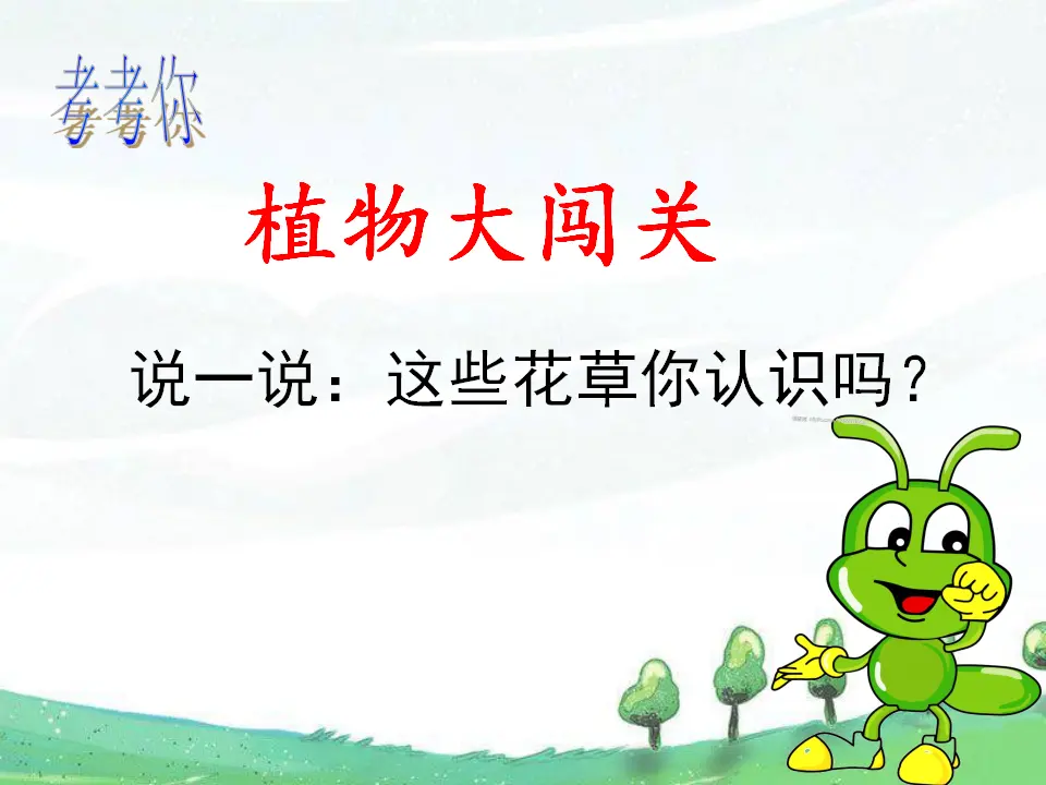 《6 花儿草儿真美丽》【纪老师】【省级】优质课（课件4）_05.webp