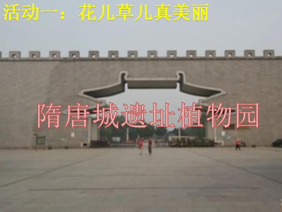 《6 花儿草儿真美丽》【王老师】【省级】优质课（课件4）_02.webp