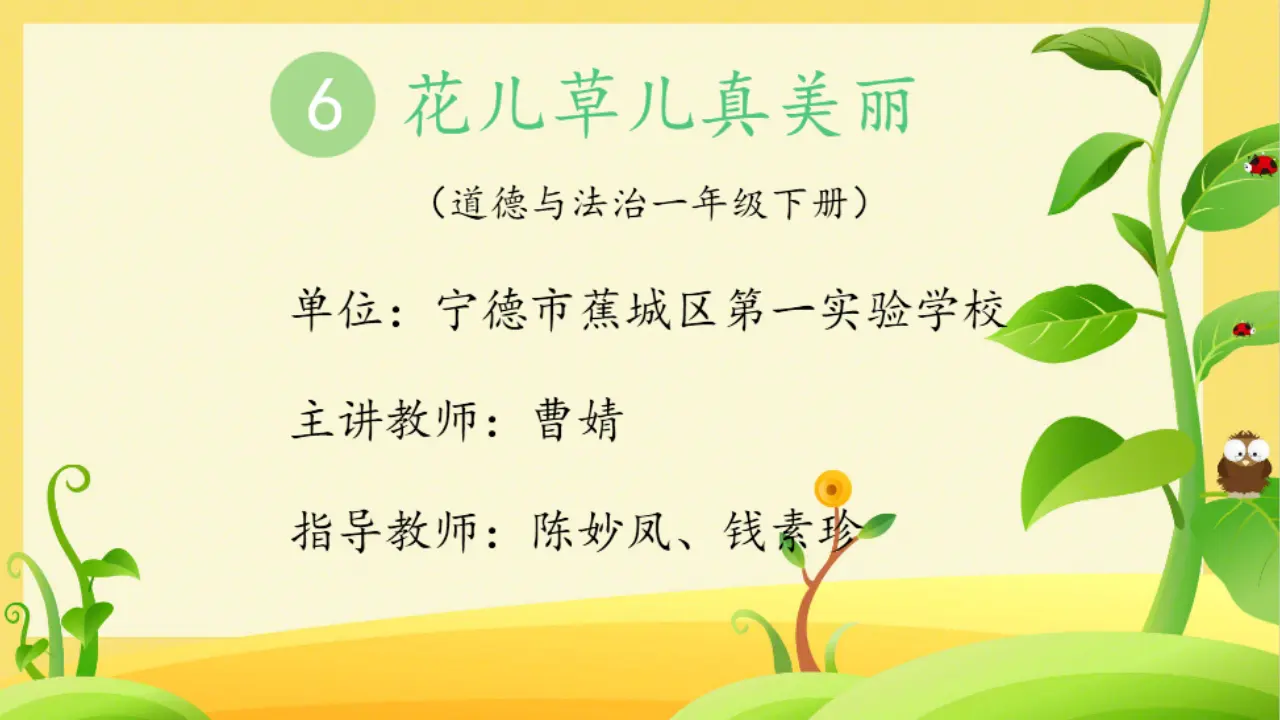 《6 花儿草儿真美丽》【曹老师】【省级】优质课（课件4）_01.webp