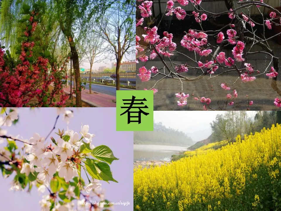 《5 风儿轻轻吹》【张老师】【省级】优质课（课件4）_04.webp