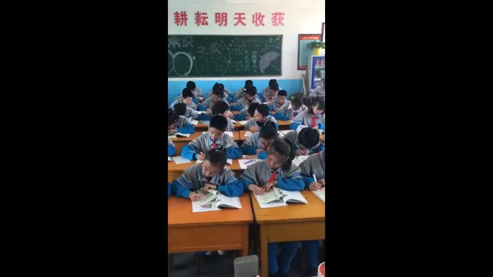 《3 我不拖拉》【丁老师】【省级】优质课（课件4）_04.webp