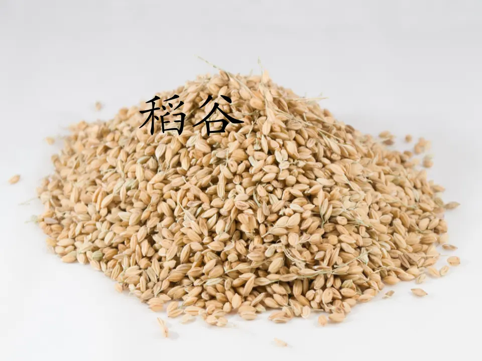 《2.8 大自然，谢谢你》[司老师]【市级】优质课（课件4）_03.webp