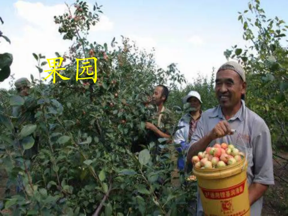《2.8 大自然，谢谢你》[司老师]【市级】优质课（课件4）_05.webp
