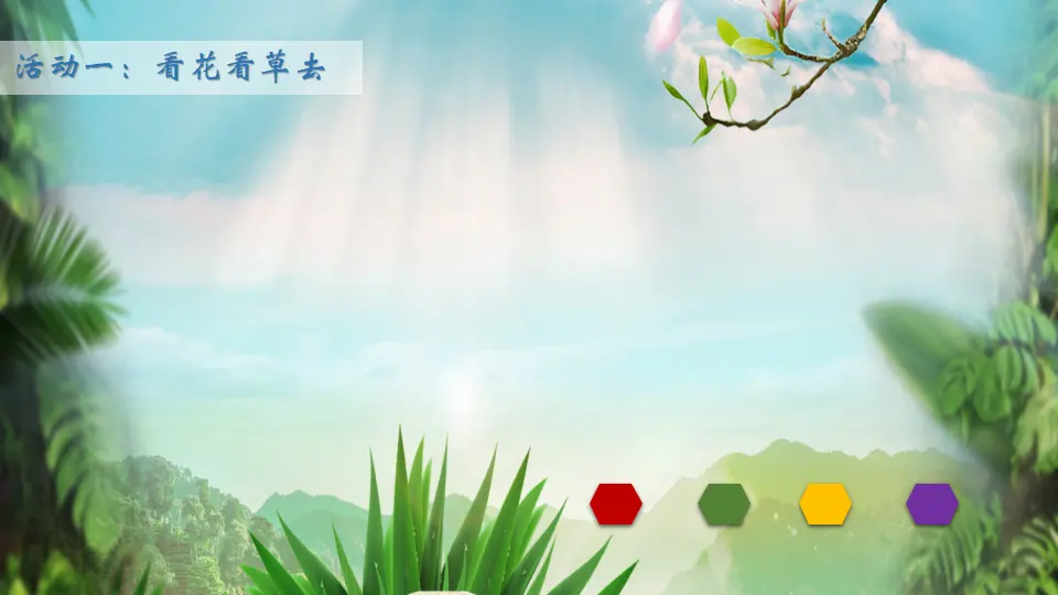 《2.6 花儿草儿真美丽》[梁老师]【部级】优质课（课件4）_04.webp