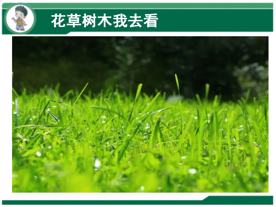 《2.6 花儿草儿真美丽》[张老师]【市级】优质课（课件4）_04.webp