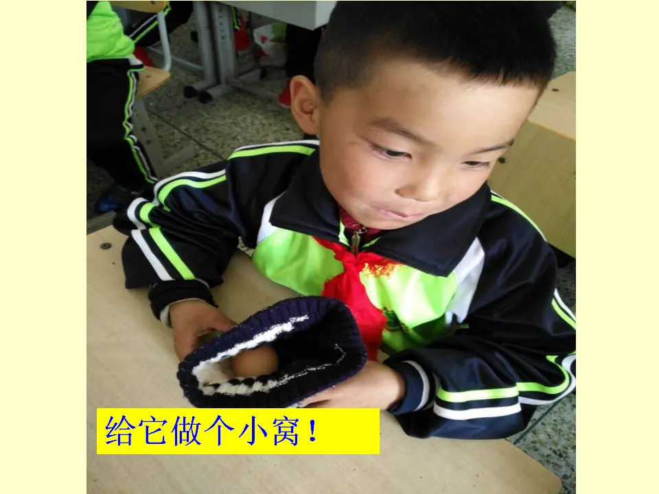 《10 家人的爱》【李老师】【市级】优质课（课件4）_04.webp