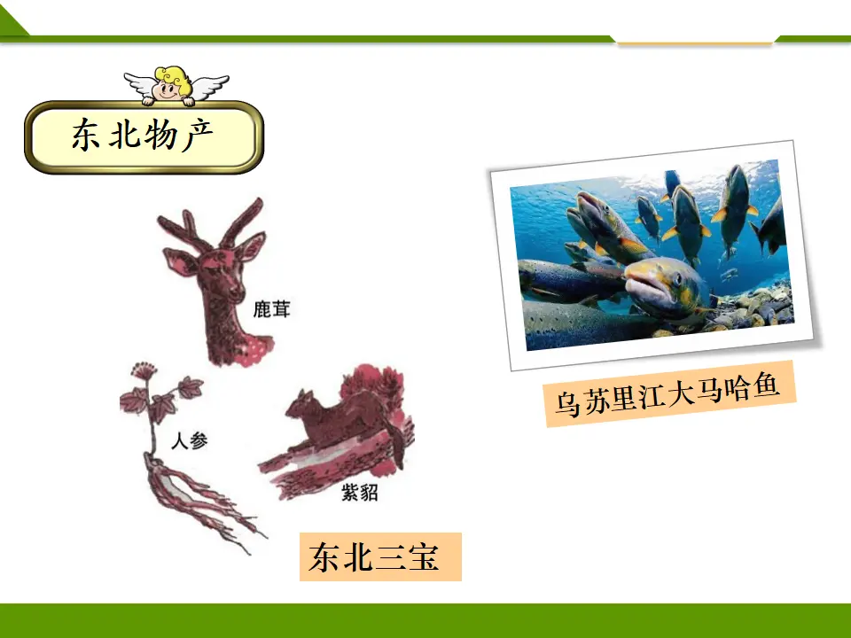 《第十四课 家乡物产养育我》第二课时 （课件1）_05.webp
