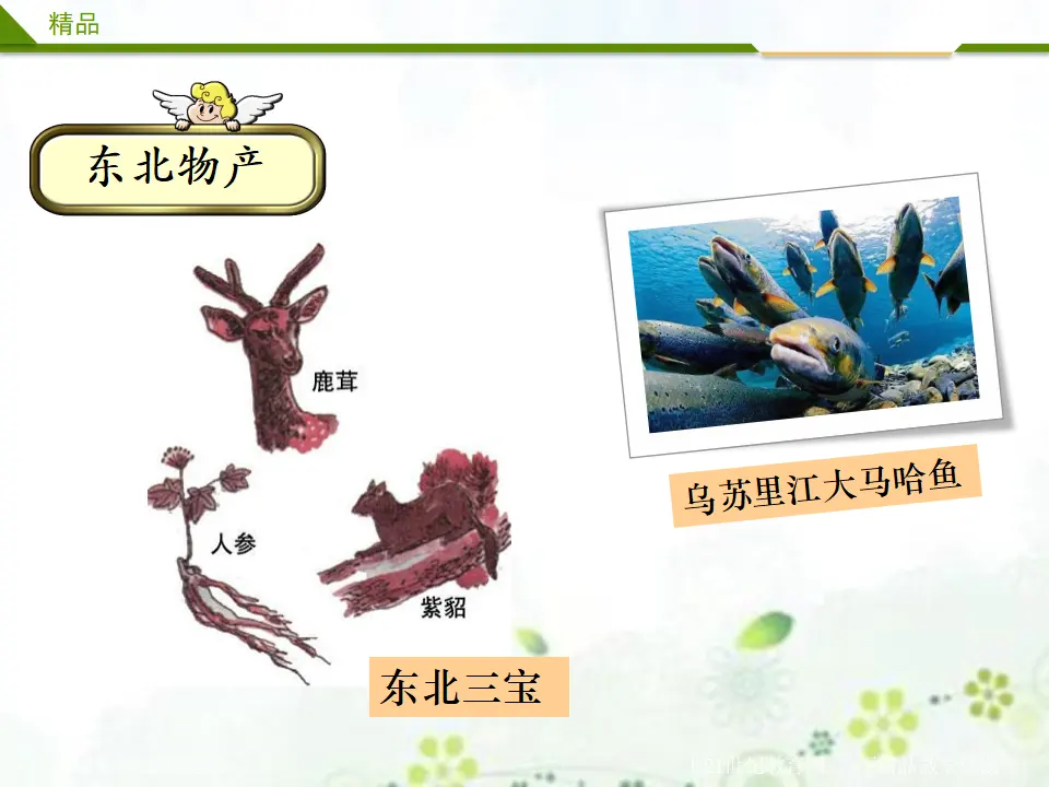 14《第十四课 家乡物产养育我》第二课时 （课件4）_05.webp