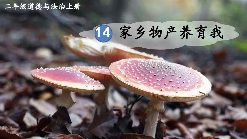 14 家乡物产养育我（课件6）_01.webp