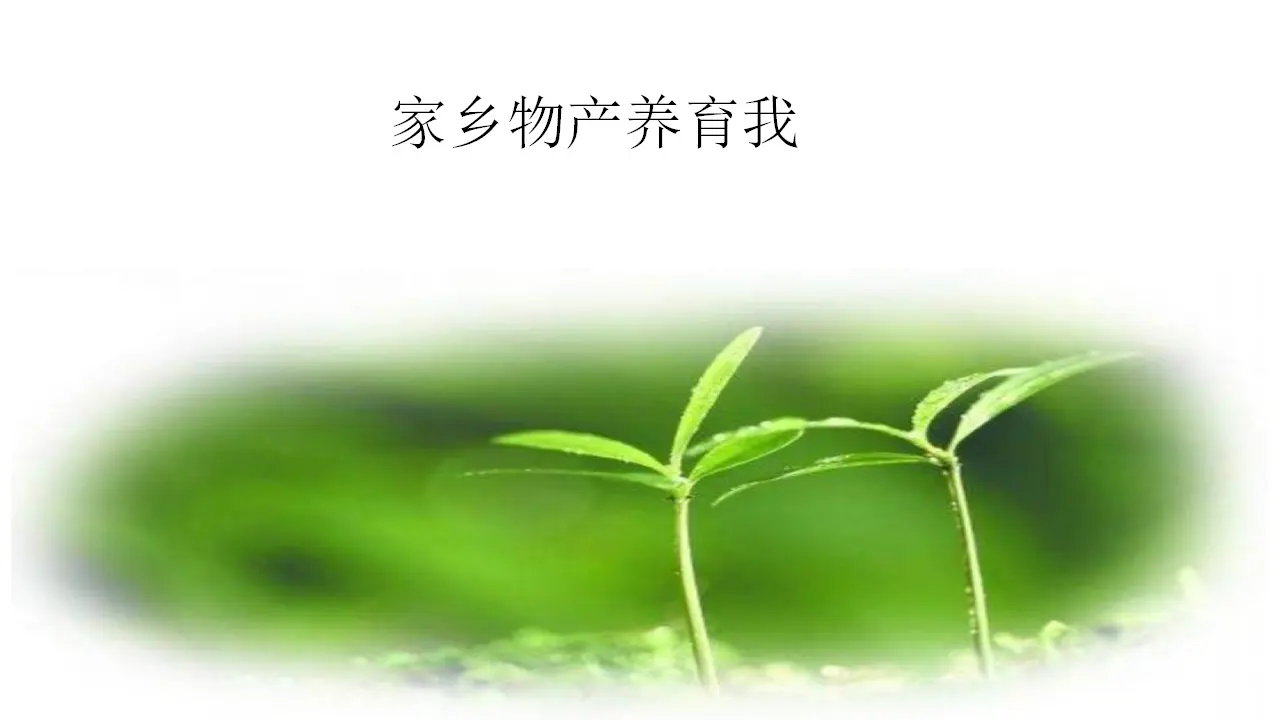 《14.家乡物产养育我》浙江省朱怀珠老师（课件7）_01.webp