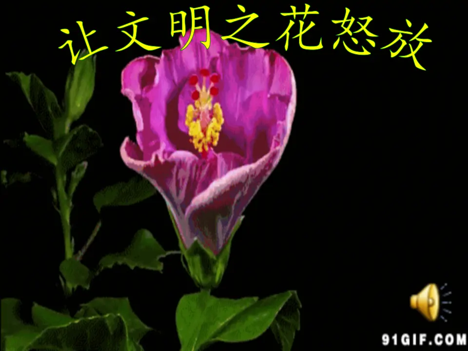 《10.我们不乱扔》广东省杨彩梅老师（课件7）_01.webp