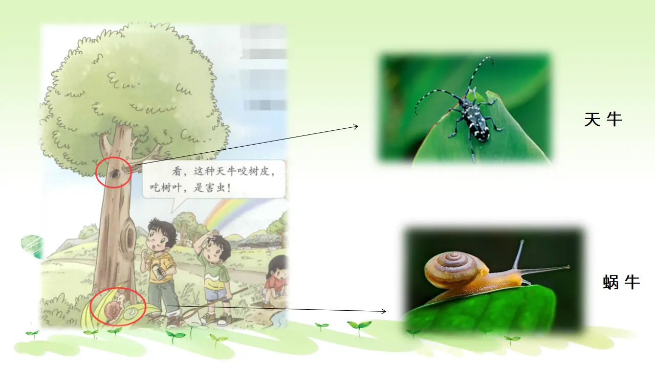 《1.假期有收获》天津市王秀娟老师（课件7）_05.webp