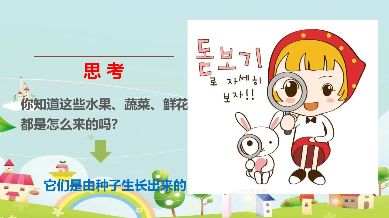 试种一粒籽 （课件1）_05.webp