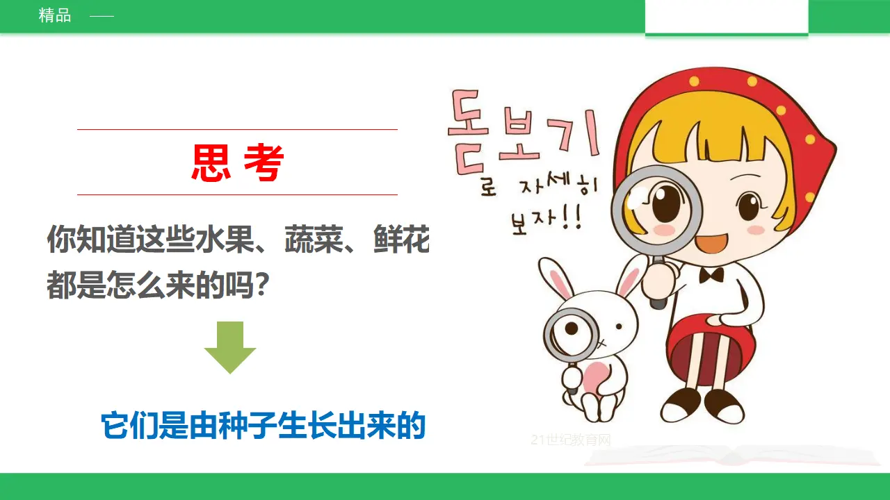 试种一粒籽 （课件2）_05.webp