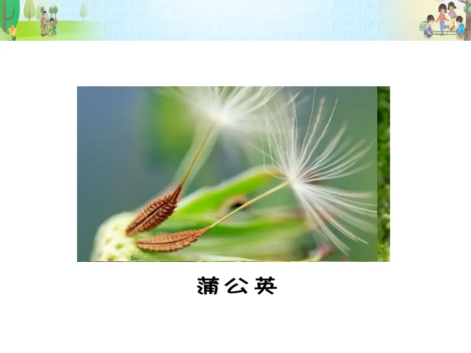 《试种一粒籽》第1课时（课件3）_02.webp