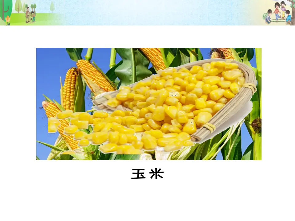 《试种一粒籽》第1课时（课件3）_04.webp