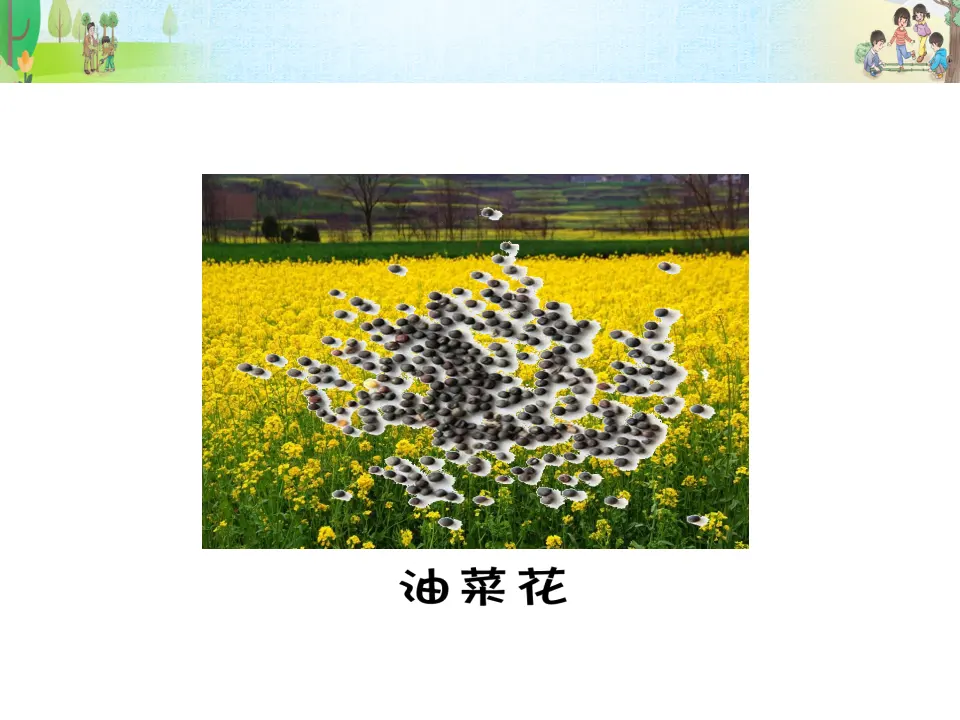 《试种一粒籽》第1课时（课件3）_05.webp