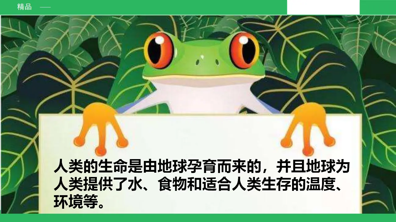 我的环保小搭档 第一课时 （课件4）_05.webp
