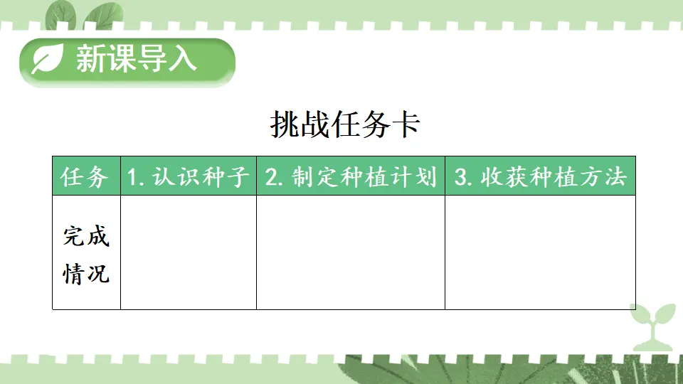 4 试种一粒籽（课件5）_02.webp