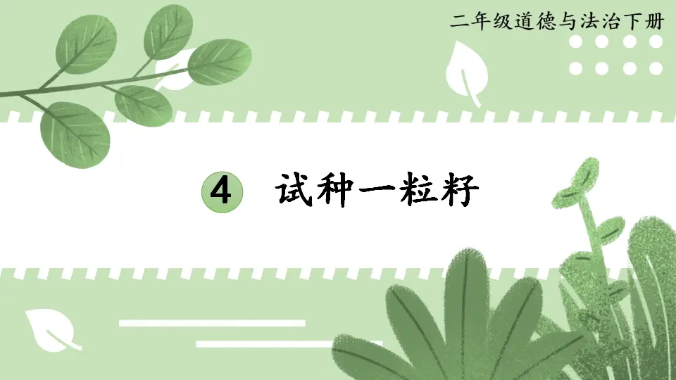 4 试种一粒籽（课件5）_01.webp