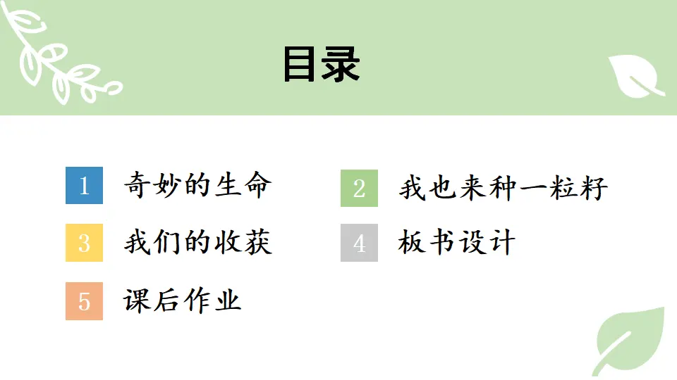 4 试种一粒籽（课件5）_03.webp