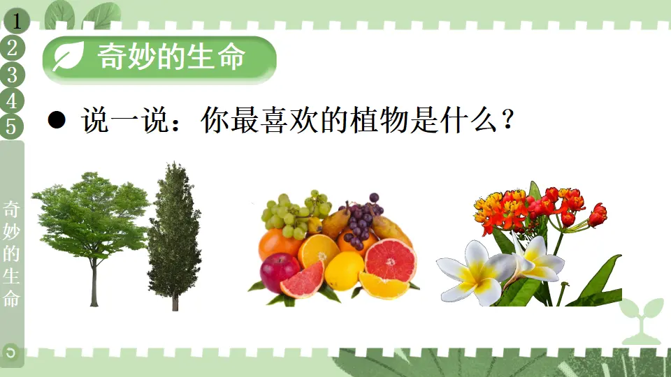 4 试种一粒籽（课件5）_04.webp