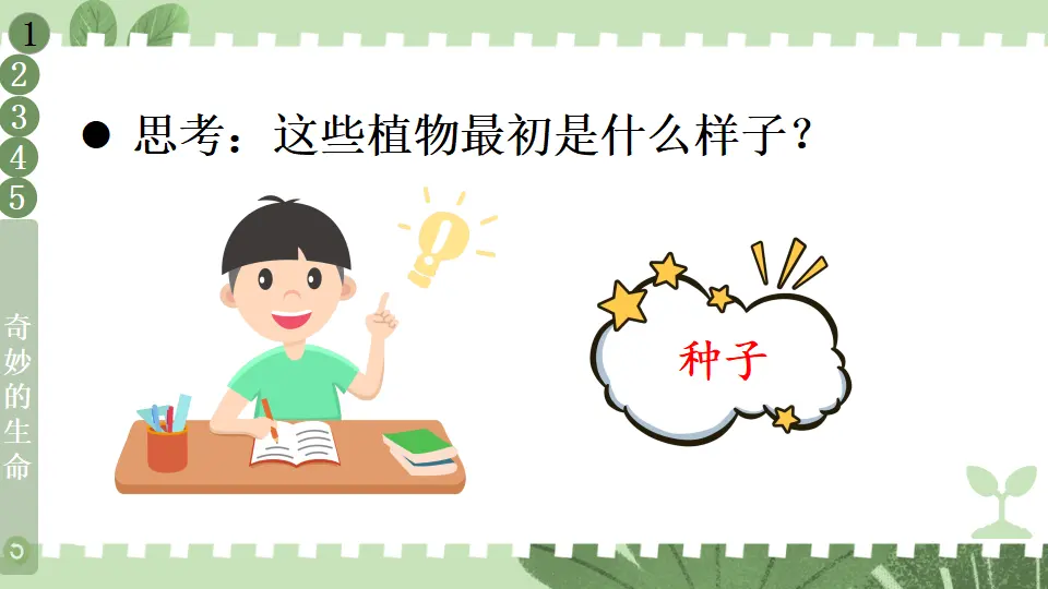 4 试种一粒籽（课件5）_05.webp
