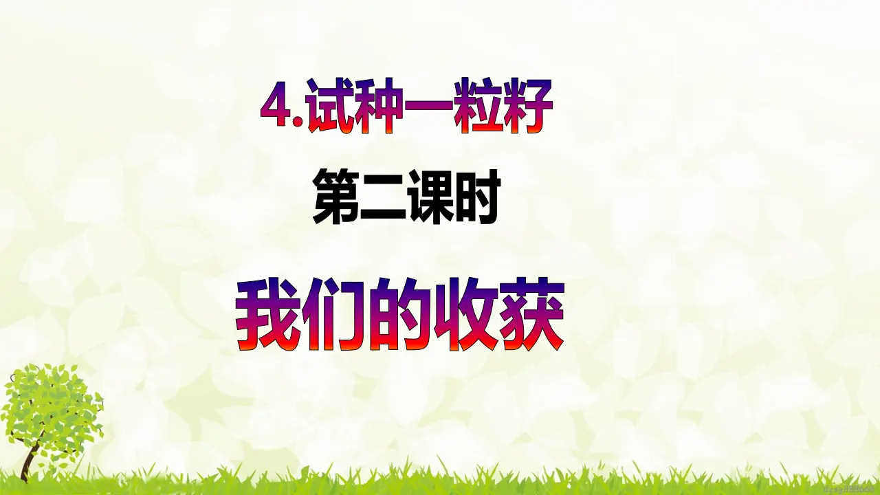 第4课《 试种一粒籽》（ 第二课时）（课件6）_02.webp