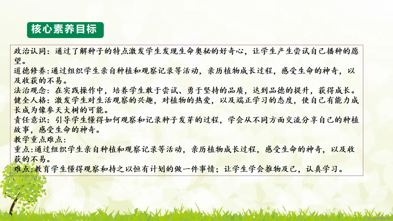 第4课《 试种一粒籽》（ 第二课时）（课件6）_03.webp