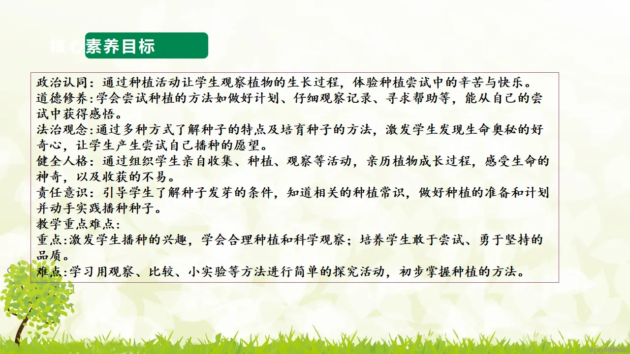 第4课《 试种一粒籽》（ 第一课时）（课件6）_03.webp