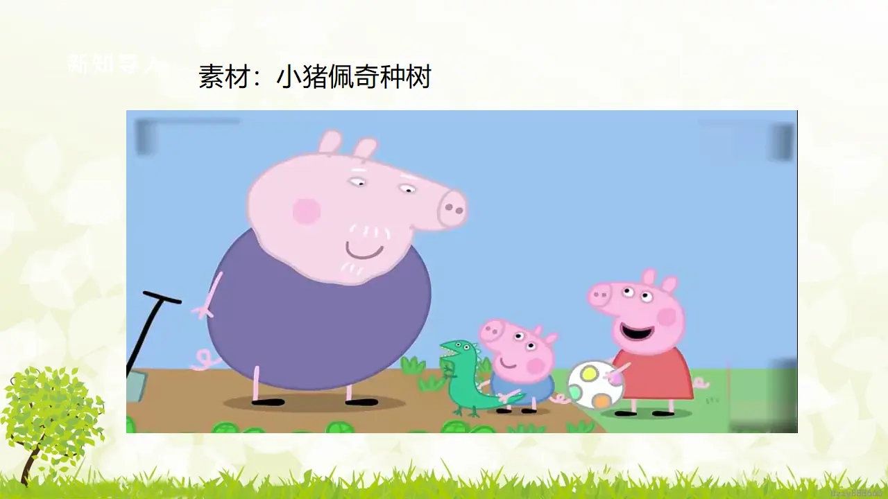 第4课《 试种一粒籽》（ 第一课时）（课件6）_04.webp