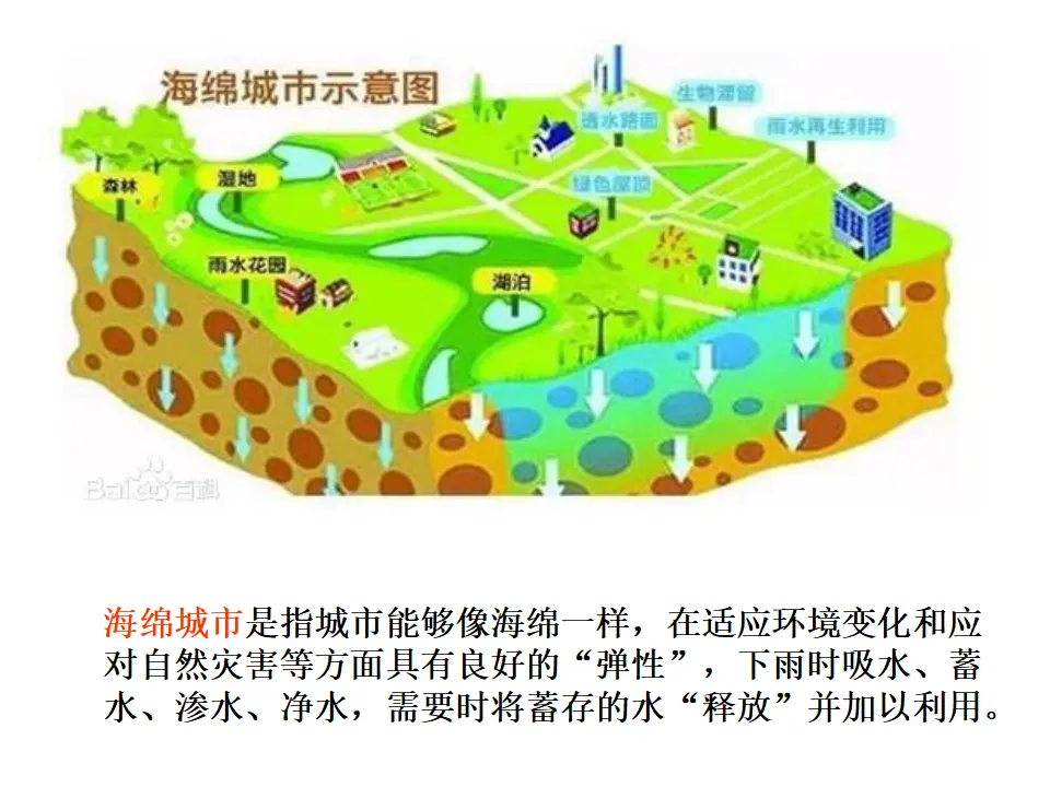 《9 小水滴的诉说》【薛老师】【省级】优质课（课件7）_04.webp