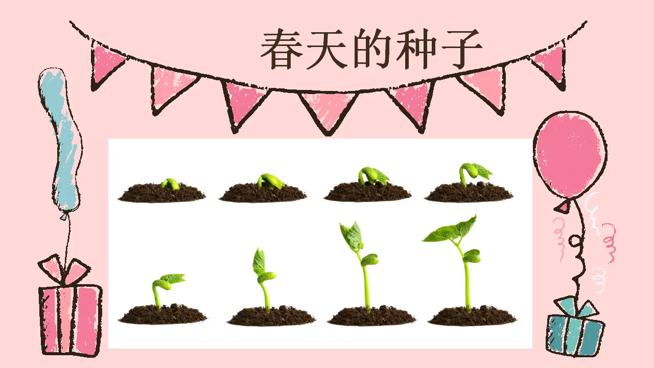 《4 试种一粒籽》【玉老师】【省级】优质课（课件7）_03.webp