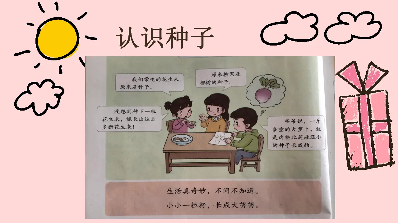《4 试种一粒籽》【玉老师】【省级】优质课（课件7）_05.webp