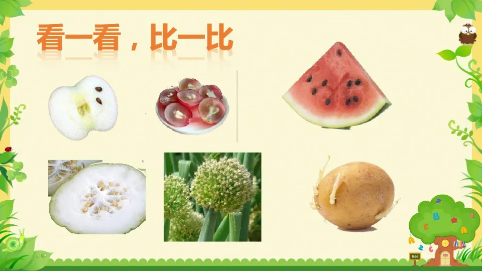《1.4试种一粒籽》[贾老师]【部级】优质课（课件7）_04.webp