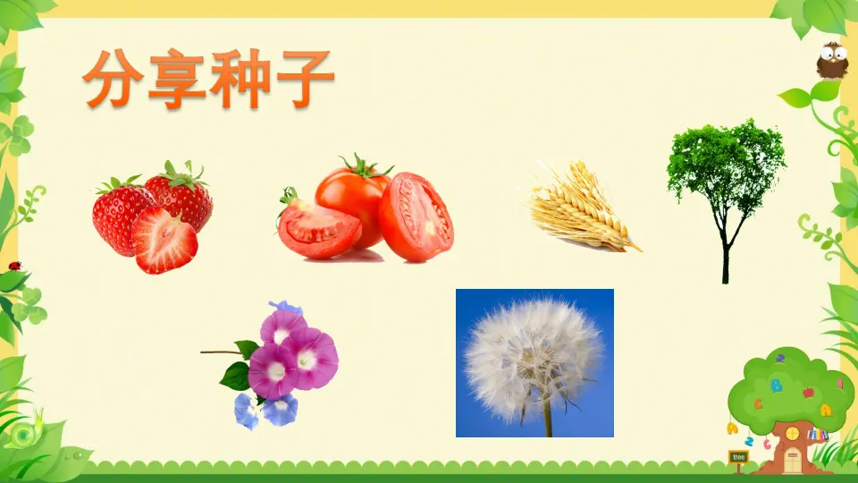 《1.4试种一粒籽》[贾老师]【部级】优质课（课件7）_03.webp