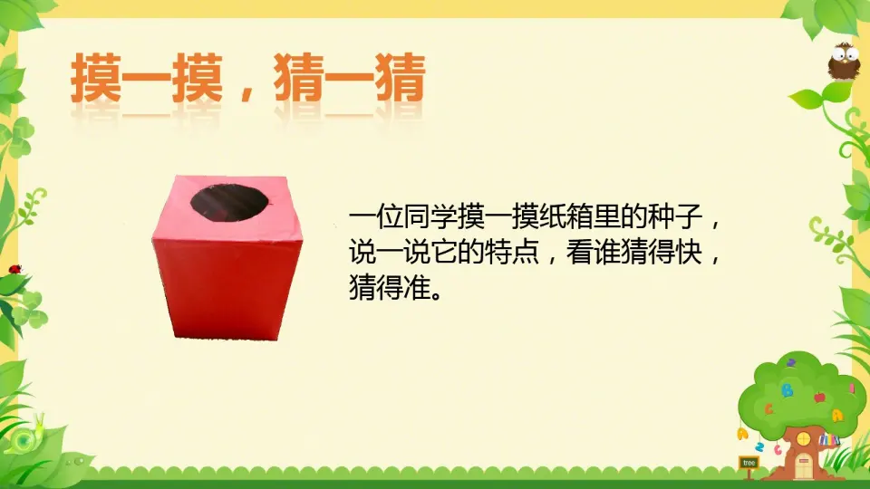 《1.4试种一粒籽》[贾老师]【部级】优质课（课件7）_05.webp