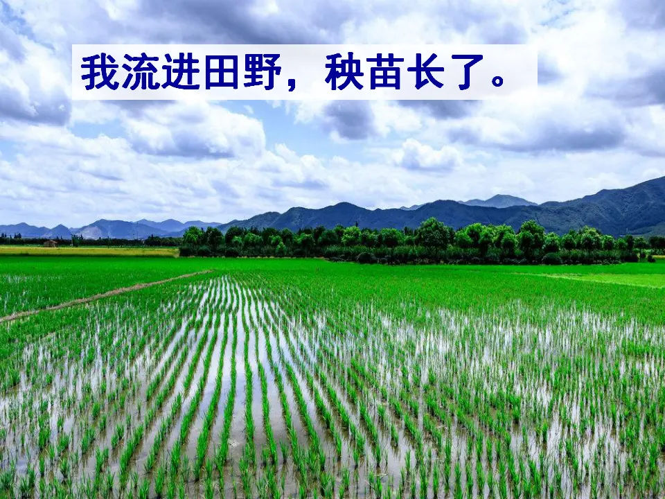 9 小水滴的诉说 罗铭涛（课件7）_05.webp