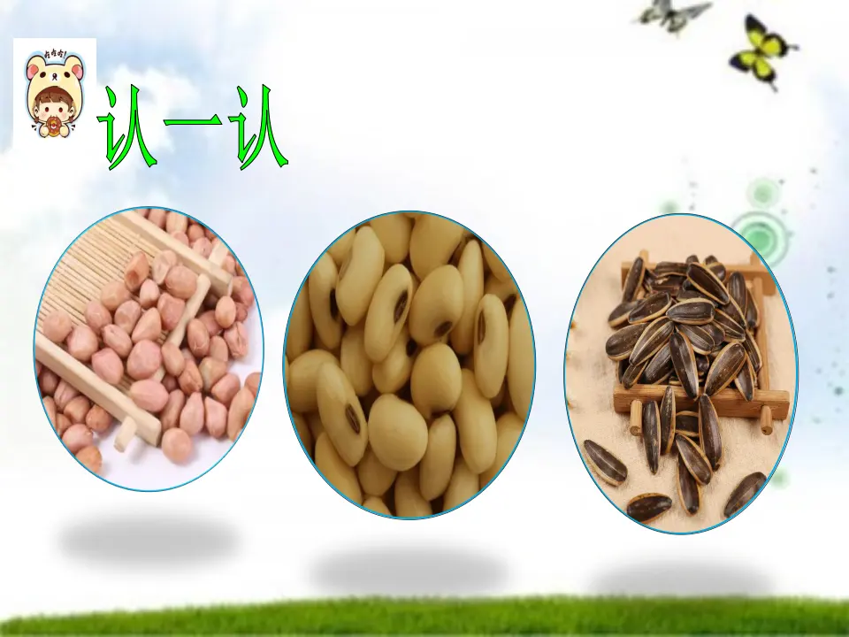 4 试种一粒籽 王莹（课件7）_03.webp