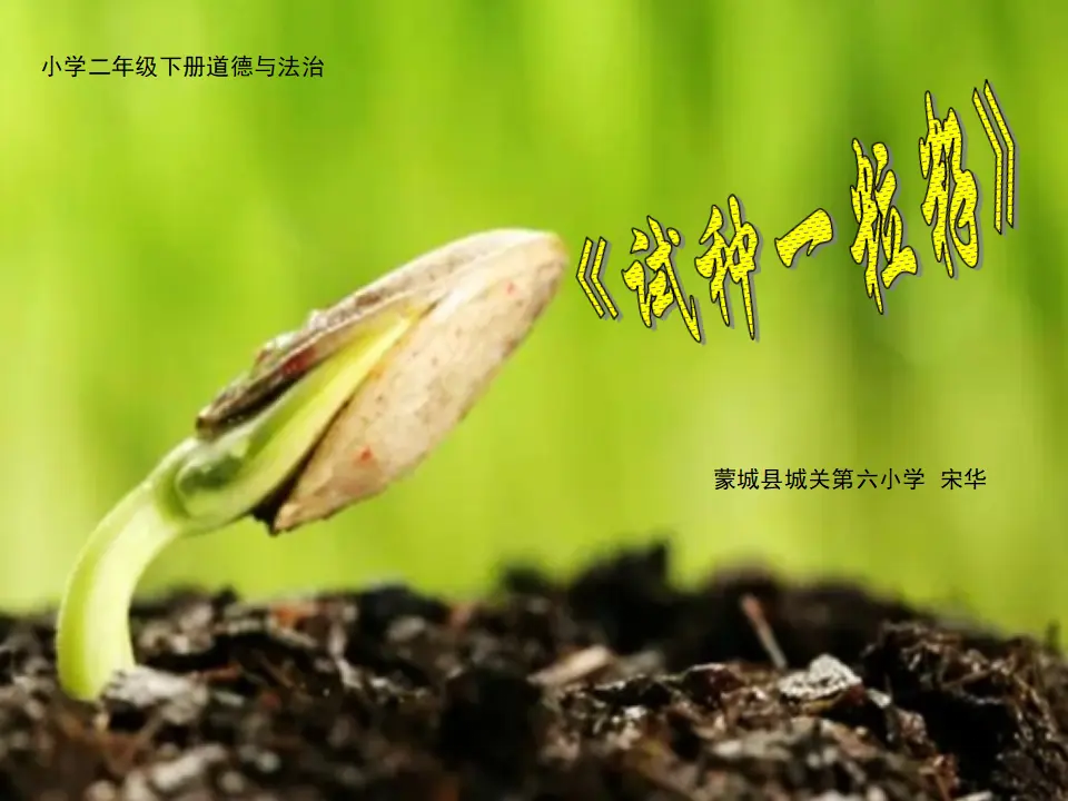 4 试种一粒籽 宋华（课件7）_01.webp