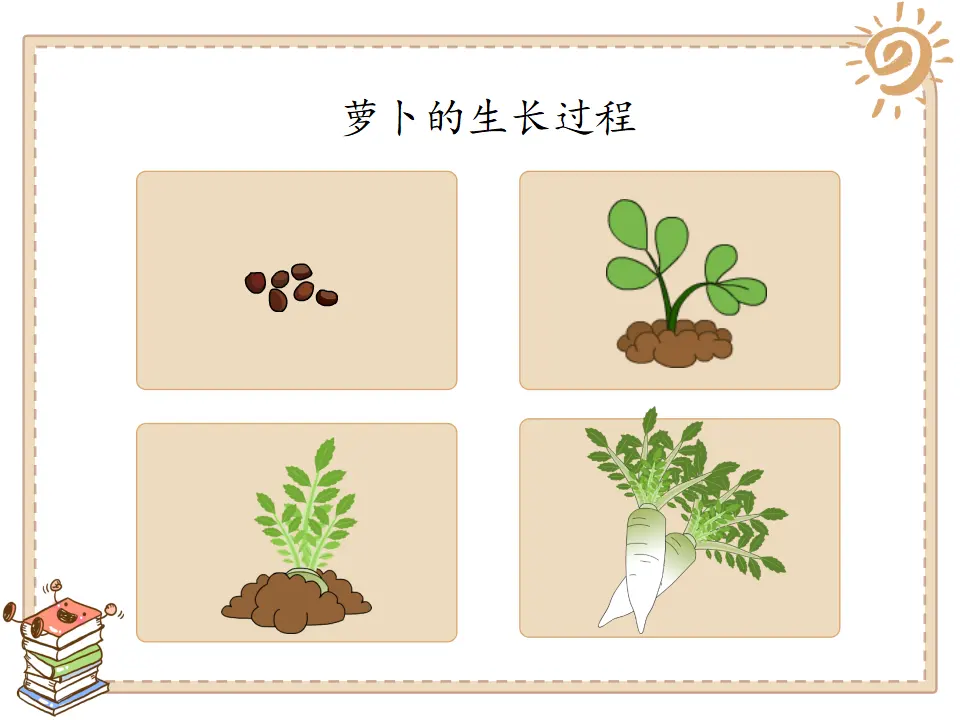 4 试种一粒籽 宋华（课件7）_03.webp